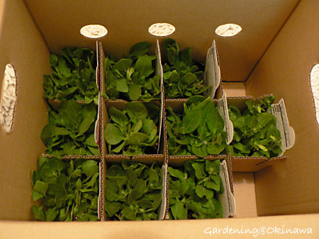 ブリエッタ到着♪