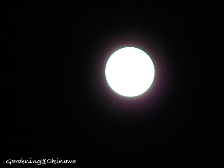 せっかくなので・・・満月。