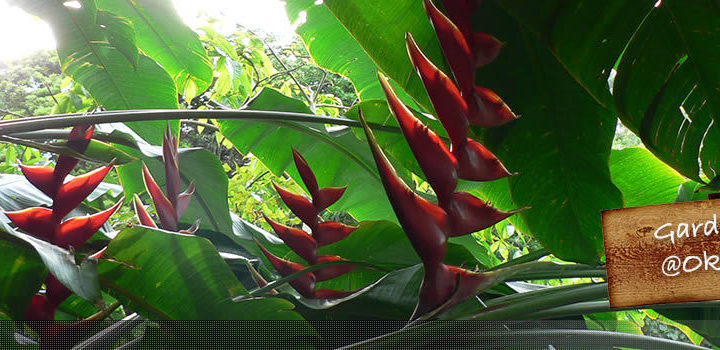 トップバナー変えてみた。