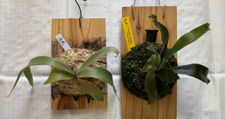 引っ越し作業中